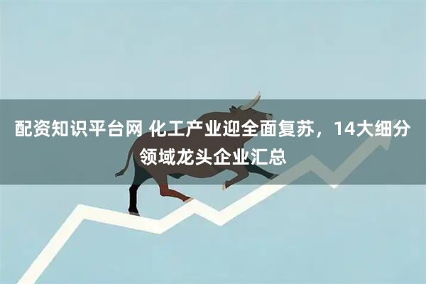 配资知识平台网 化工产业迎全面复苏，14大细分领域龙头企业汇总