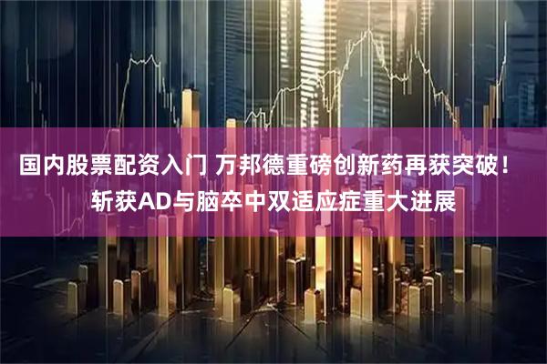 国内股票配资入门 万邦德重磅创新药再获突破！ 斩获AD与脑卒中双适应症重大进展