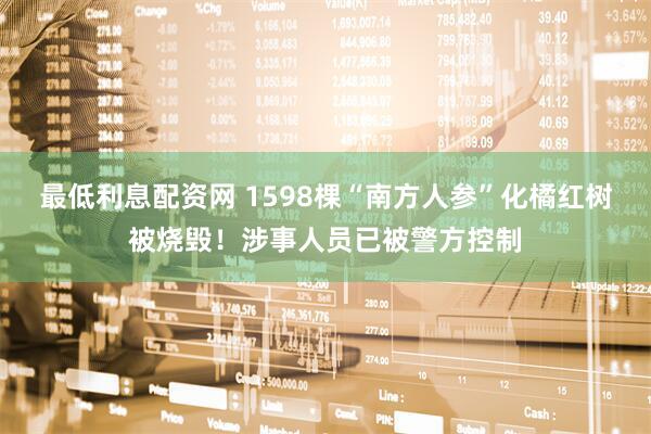 最低利息配资网 1598棵“南方人参”化橘红树被烧毁！涉事人员已被警方控制